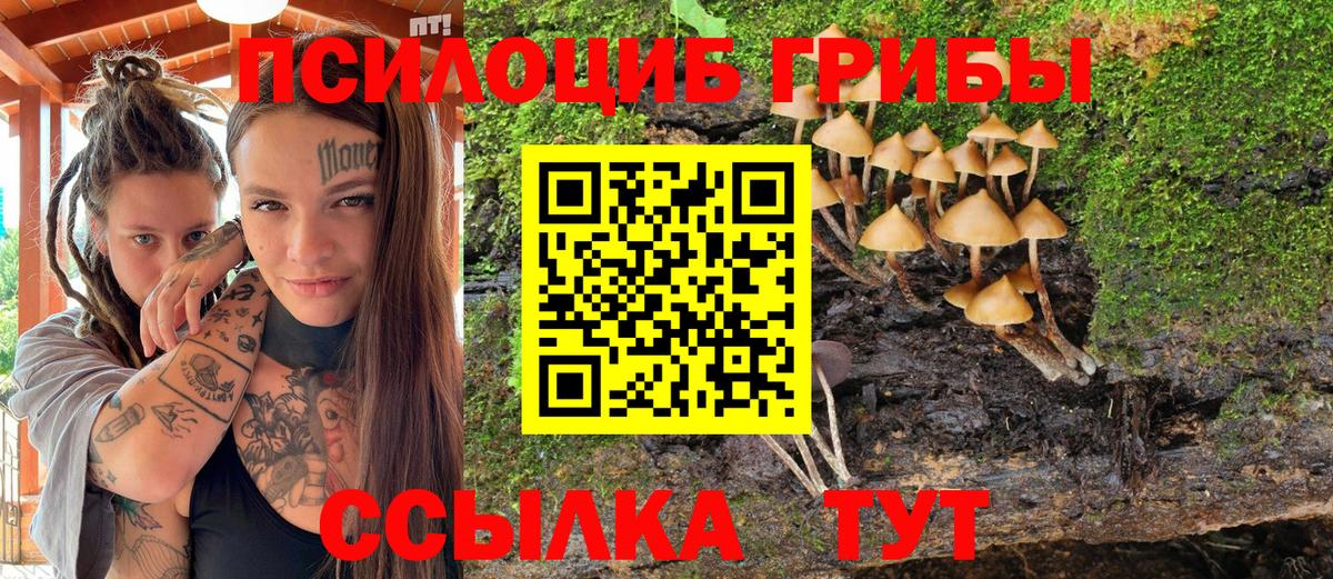 где купить   Псилоцибиновые грибы прущие грибы  Вход с VPN  Тобольск 