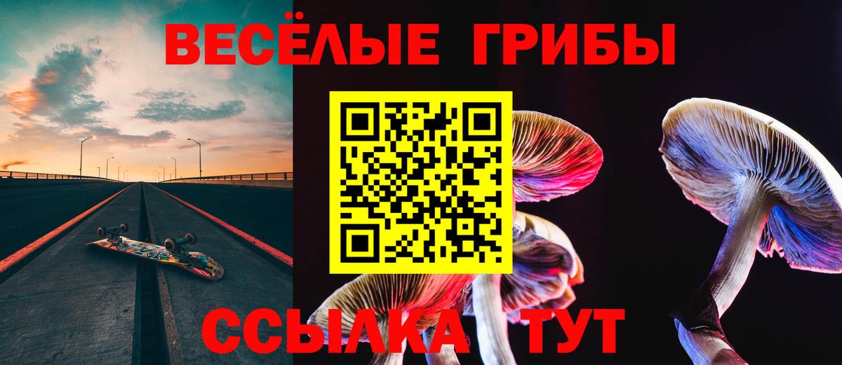 Галлюциногенные грибы Magic Shrooms Тобольск